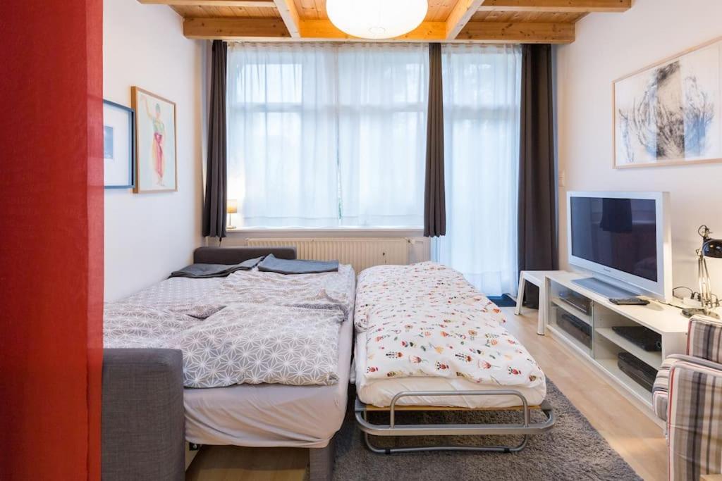 Apartment Wilhelmstr Fuer Bis Zu 3 Personen Brühl  Zewnętrze zdjęcie