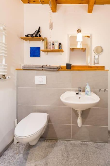 Apartment Wilhelmstr Fuer Bis Zu 3 Personen Brühl  Zewnętrze zdjęcie